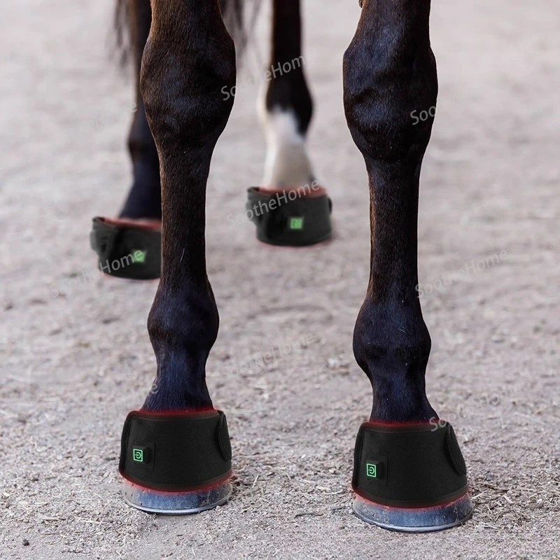 Beauty & Health LED Red Light Large Pet Horse Hoof Physiotherapy Intense Exercise Recovery Wound Healing Massage Device