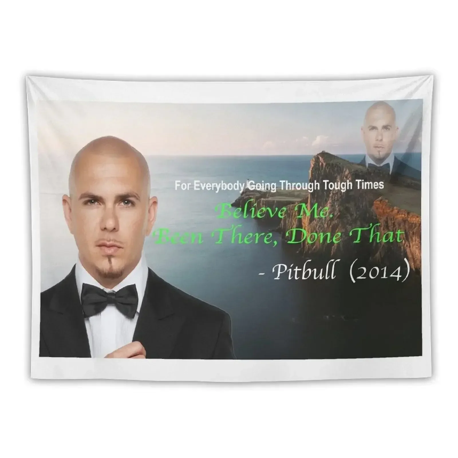 

Pitbull's Been There Done That Tapestry Bedrooms Decorations Wall Coverings Tapestry