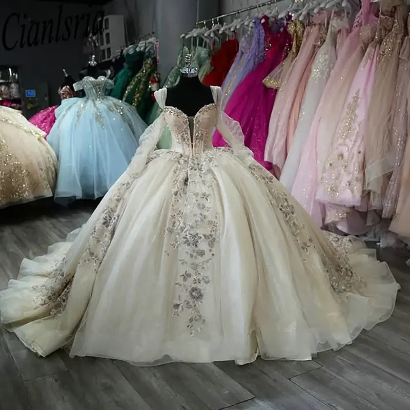 

Princess Long Sleeve Quinceanera Dresses Ball Gown Sweetheart Appliques Lace Beading Corset Sweet 16 Vestidos De XV 15 Anos