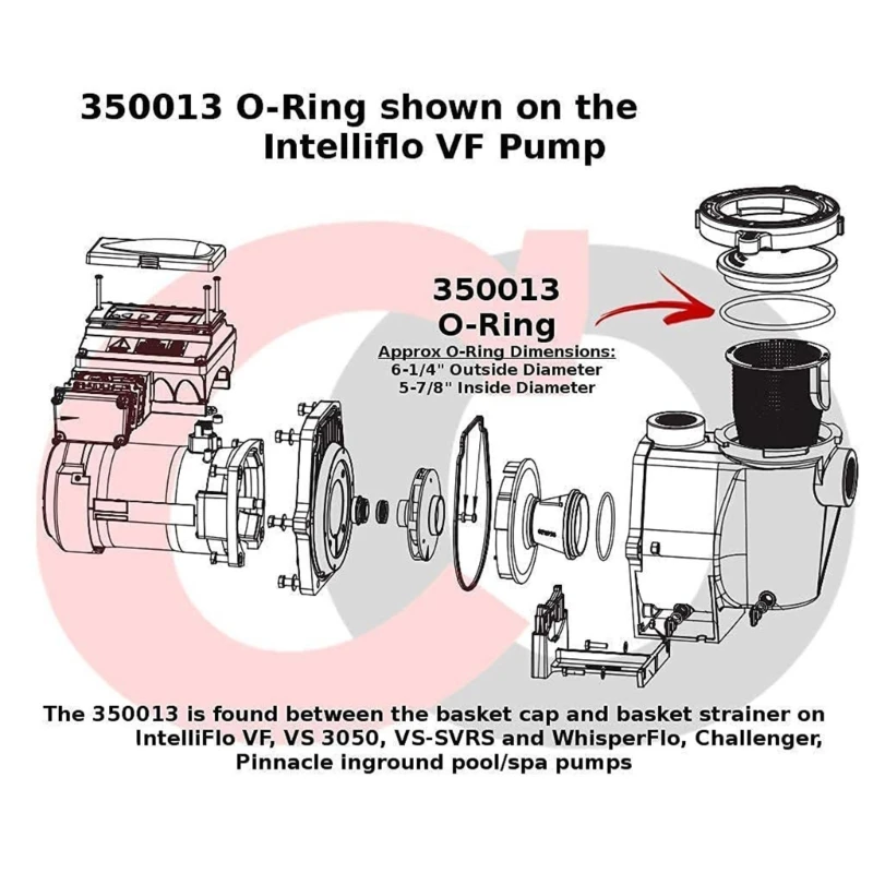 Packung mit 3 350013 Deckel-O-Ringen Pumpenfalle Deckelzubehör für WhisperFlo und IntelliFlo Pumpenfalle O-Ringe Ersatz