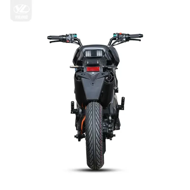 2025 Newest Adult E Moped With Motor High Performance Electric Two Wheeler Motorcycles
