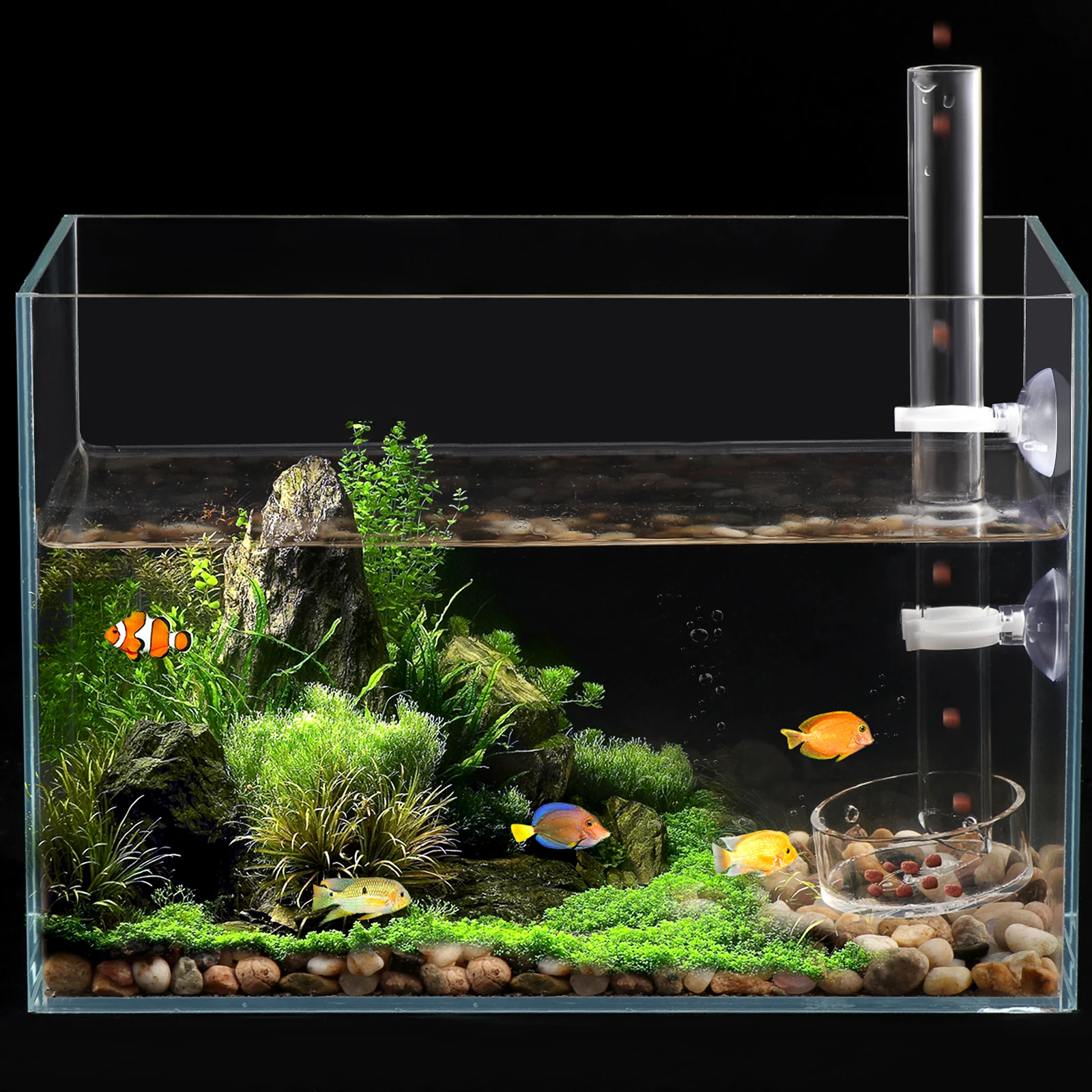 

Acrylic Shrimp Feeding Tray Feeder Tube Easy Mount Practical Tool for Planted Aquarium Crystal Red Shrimp