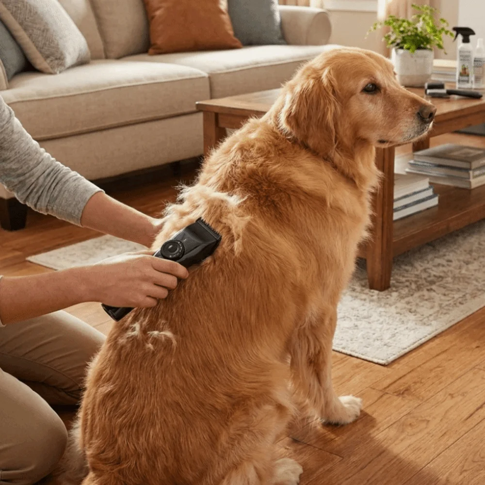 Cordless Dog Clippers Low Noise Grooming - USB-перезаряжаемый водонепроницаемый беспроводной триммер для стрижки