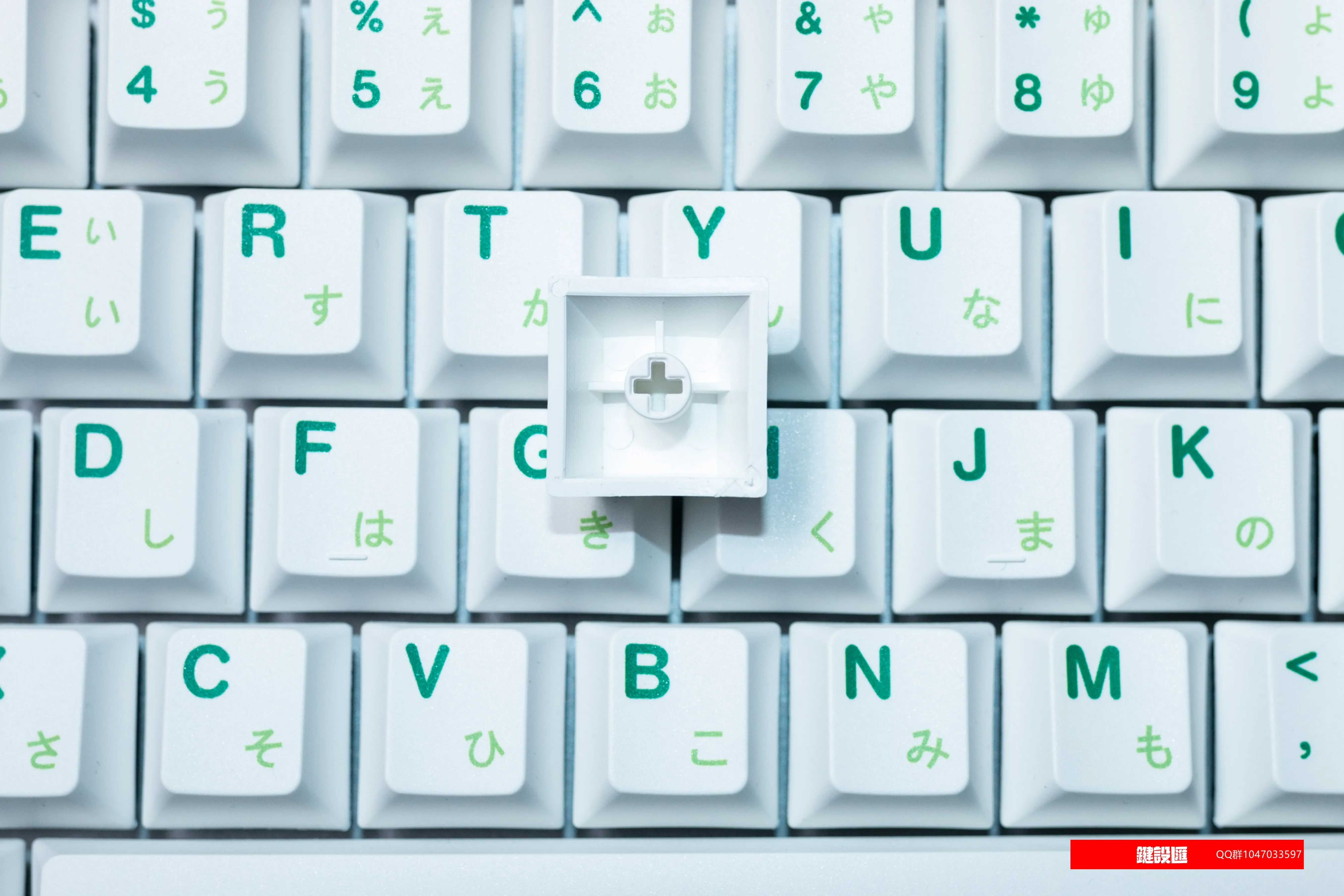 Raiz japonesa Keycap, PBT Hot Sublimation