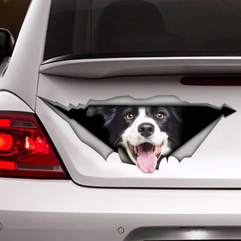 Border Collie sticker, car decal, Vinyl decal, Pet sticker, Dog decal, Border Collie car decal