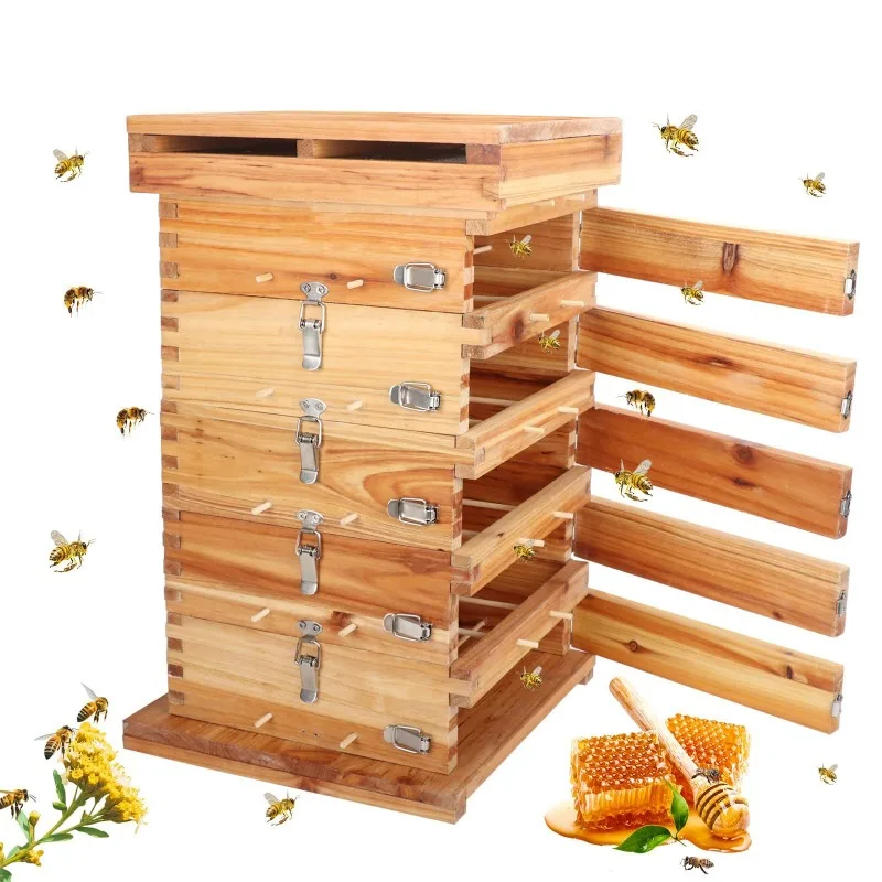 Chinese Bee Square Lattice Beehive Wax Treated Fir Wood Multi Layer Bee Hive Beekeeping Breeding Equipment