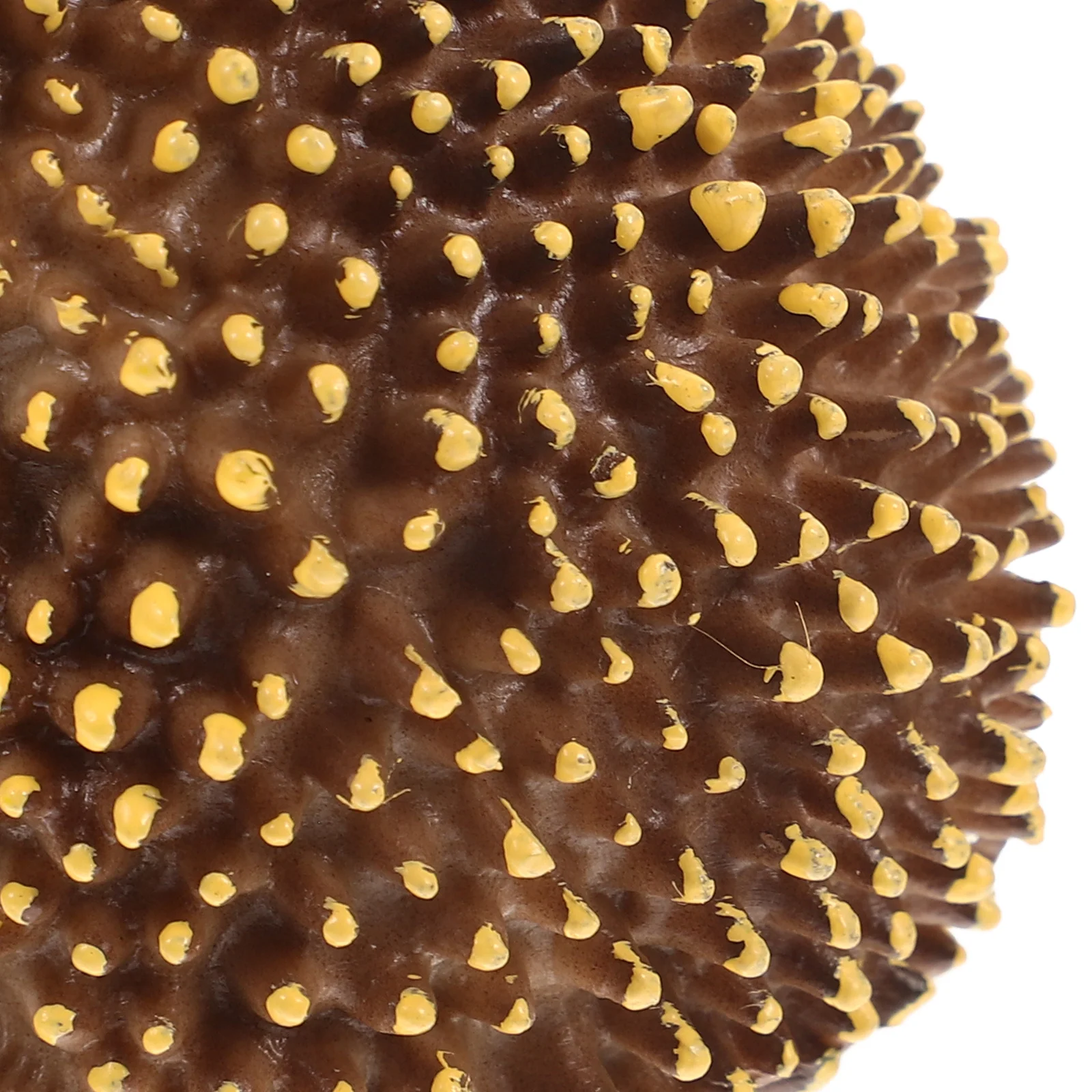 

Miniature Hedgehog Plastic Garden Decoration Tiny Ornament For Lawn Bonsai Micro Micro Landscape Decor Landscape Decor