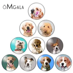 Cartoon Cute Dog Animals Patterns 10pcs mixed 12mm/18mm/20mm/25mm Round photo glass cabochon demo flat back Making findings