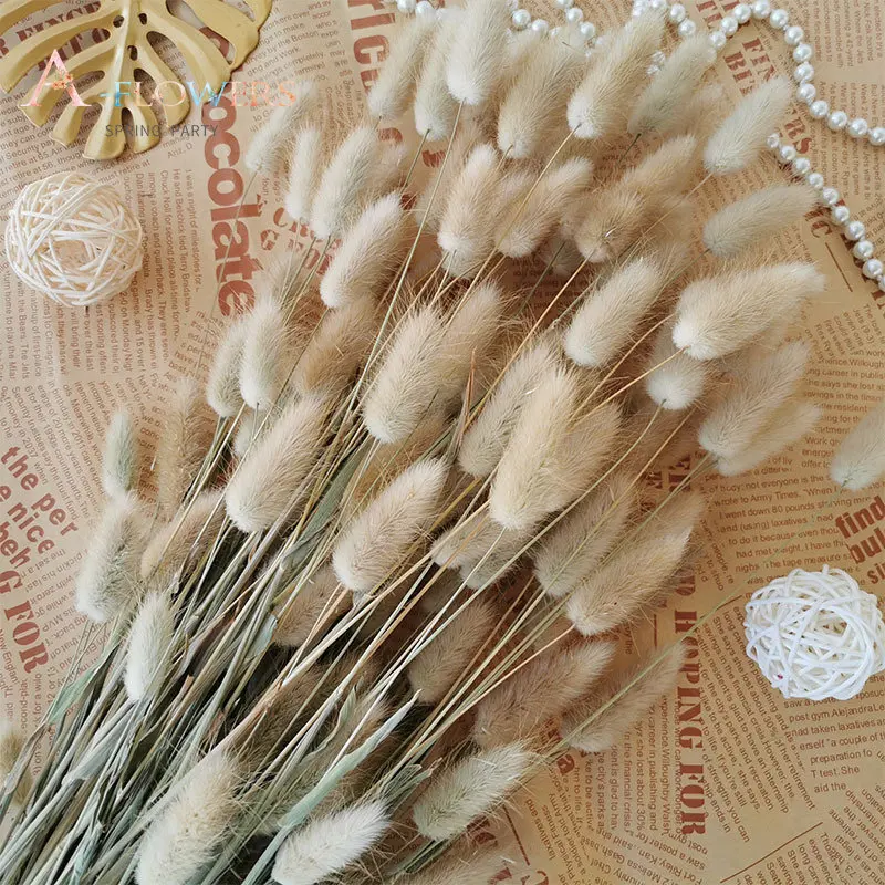 

60Pcs Bunny Tails Pampas Grass Natural Dried Flowers for Wedding Decortaion Home Decor Boho Party Rabbit Tails Flowers Bouquet