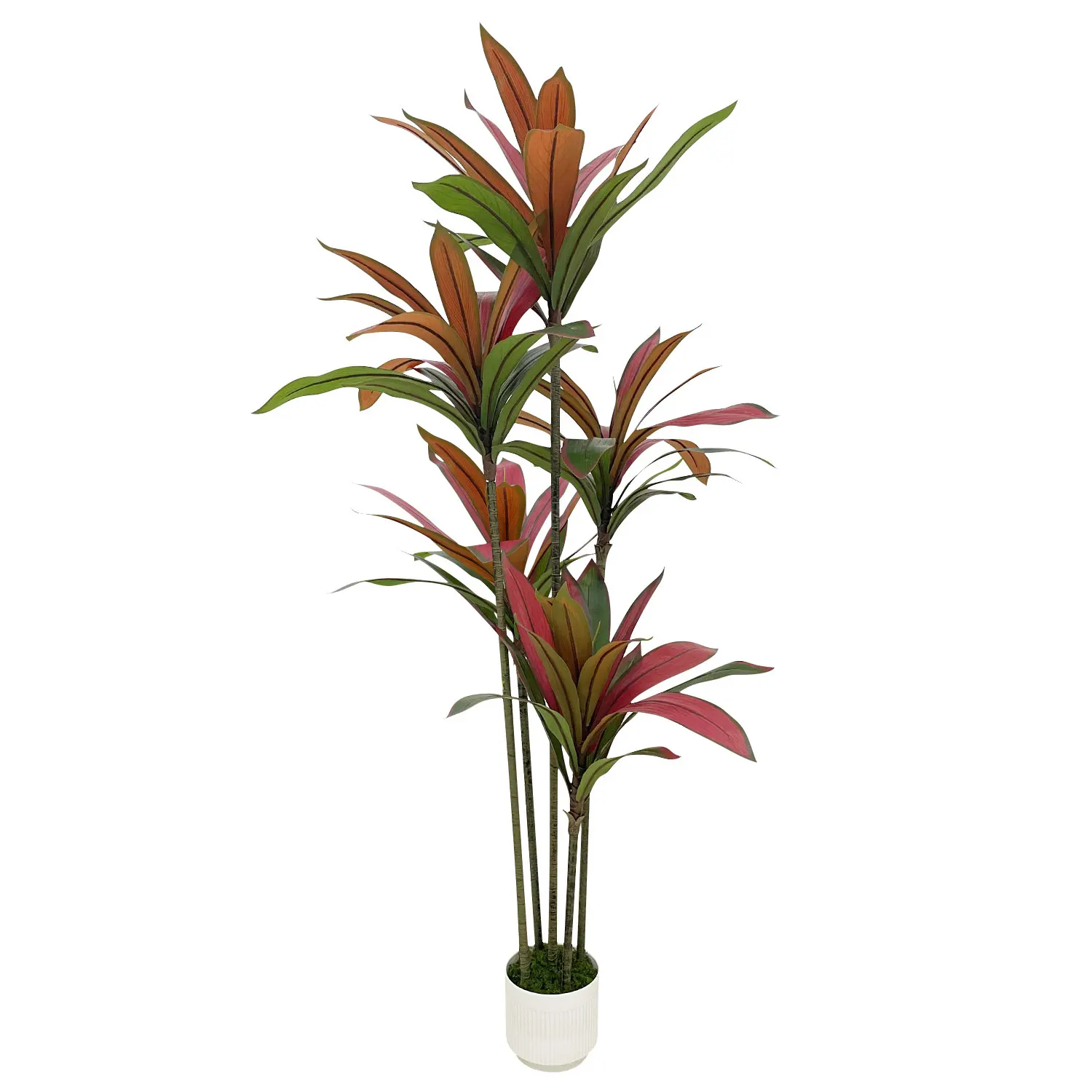 Brasilianische Glücksholz-Innenpflanzen, 4 Fuß/5 Fuß, zwei Farben, grüne und rote Blätter, Zimmerpflanze mit geringer Wartung, Topfdekoration, gebrauchsfertig