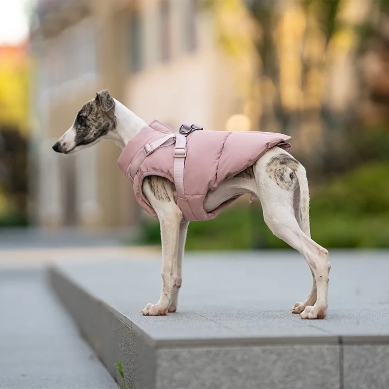 

Autumn Winter Dog Coat Down Jacket Cotton-Padded Clothes With Integrated Chest and Back Windproof Products for Small Large Dog