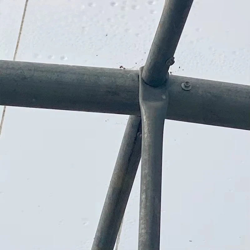 GT Spot Goods im Angebot Kostengünstiges kommerzielles Gewächshaus Landwirtschaftliches Tunnelgewächshaus für den Nahen Osten