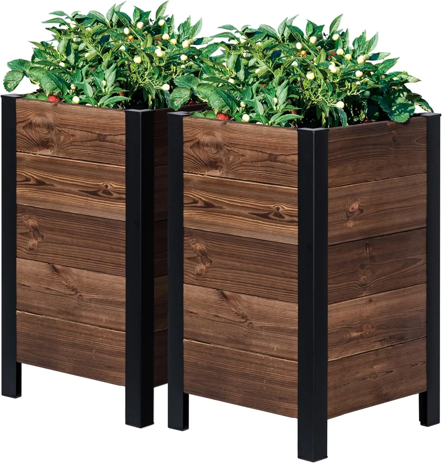 Vine Raised Garden Bed Planter Box (18