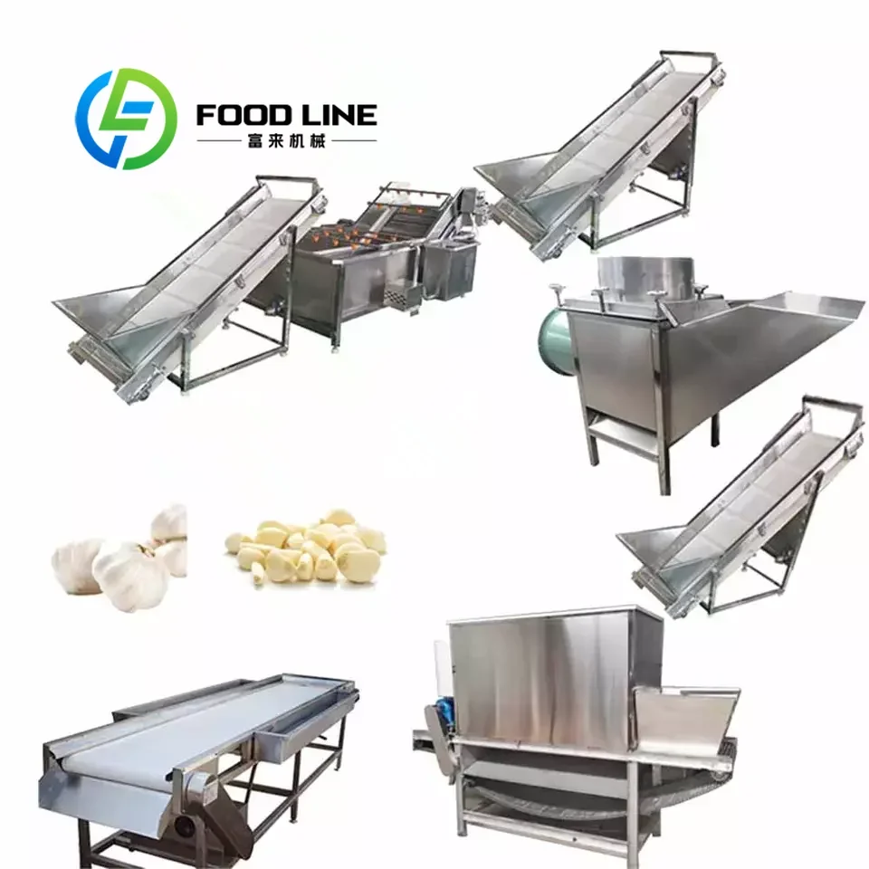 Chain Type Peeled Garlic Machine Stainless Steel 50kg h 300kg h Commercial Garlic Peeling Equipment Customize