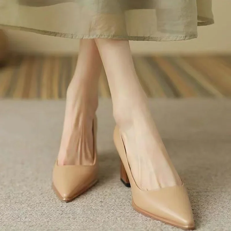 Damesschoenen Normaal Leer Casual Nude Kleur Blok Hak Formele Hoge Hakken Puntige Neus Dames Schoeisel Echt Merk Kwaliteit 39