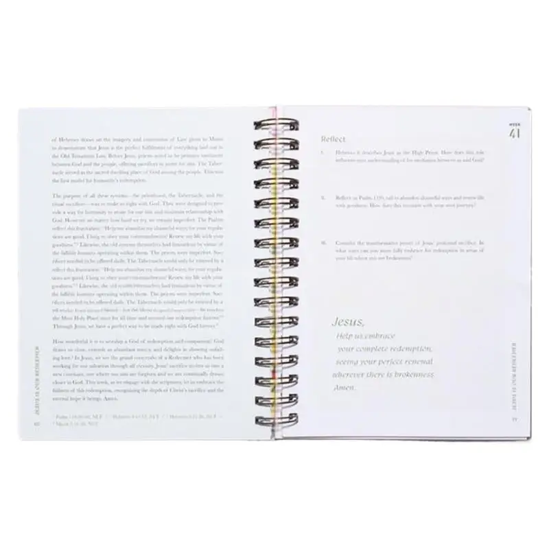 성경 속의 아름다운 해 성경 속의 여성 성경 연구 가이드 여성을 위한 52주 성경 연구 안내 성경 여행