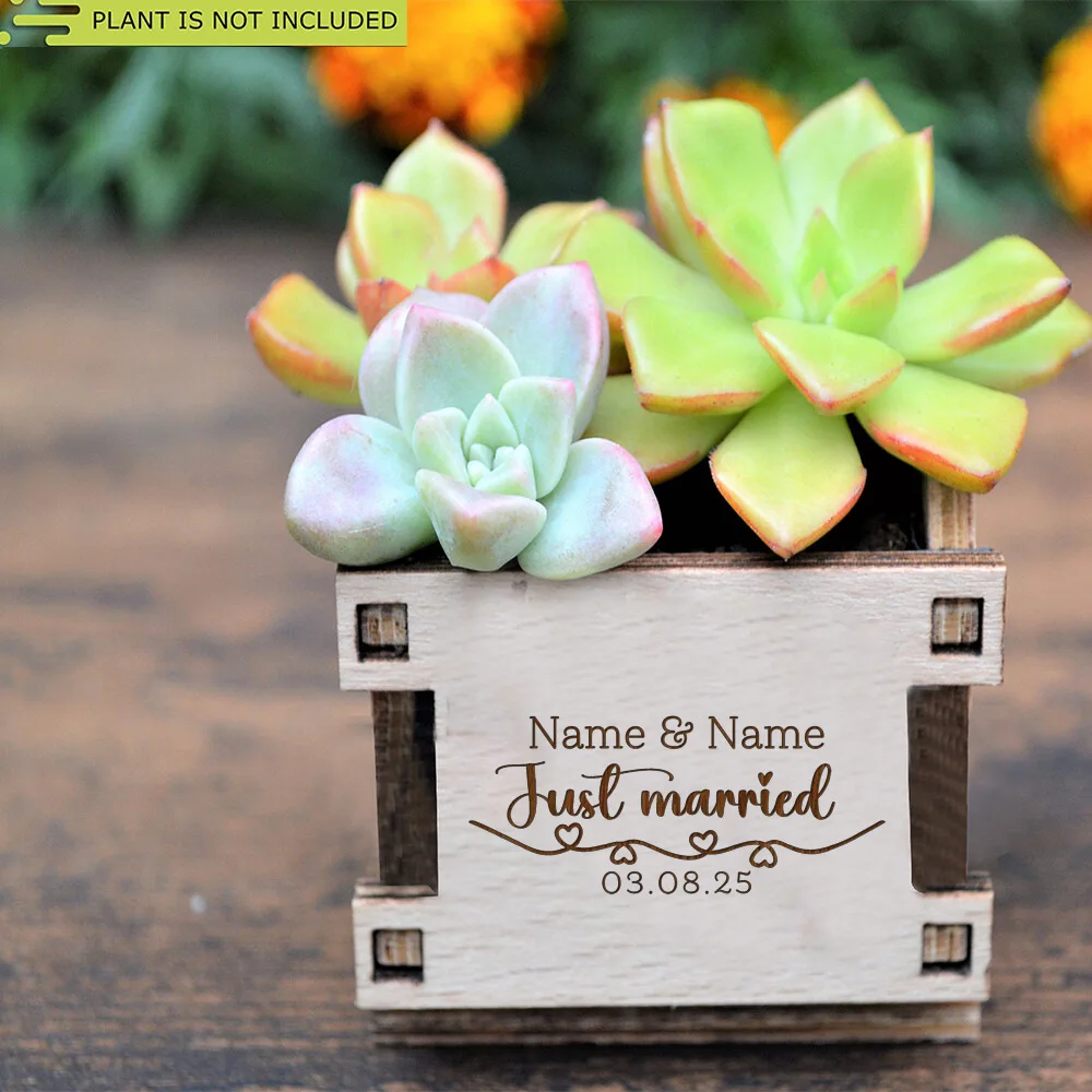 Personalized Mini Pot for Succulent Wedding Favors Unique Wedding Favors for Guests Wooden Mini Box for Succulents