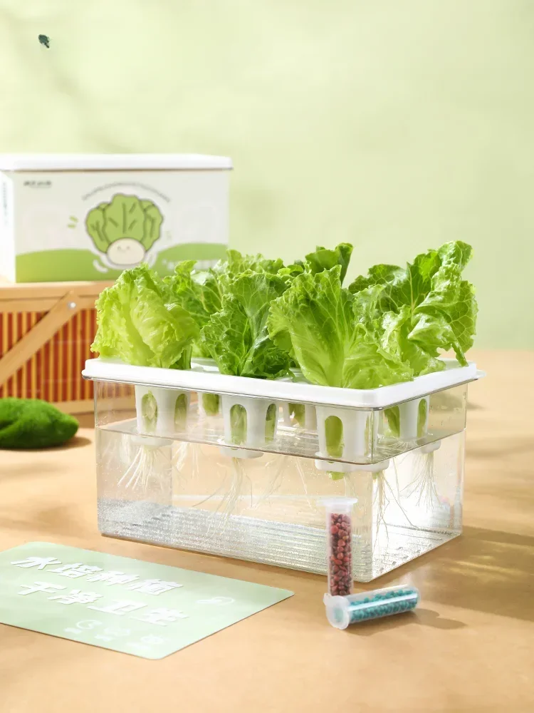 Hydroponic lettuce planting box Home intelligent soilless cultivation students observe vegetable planting homework