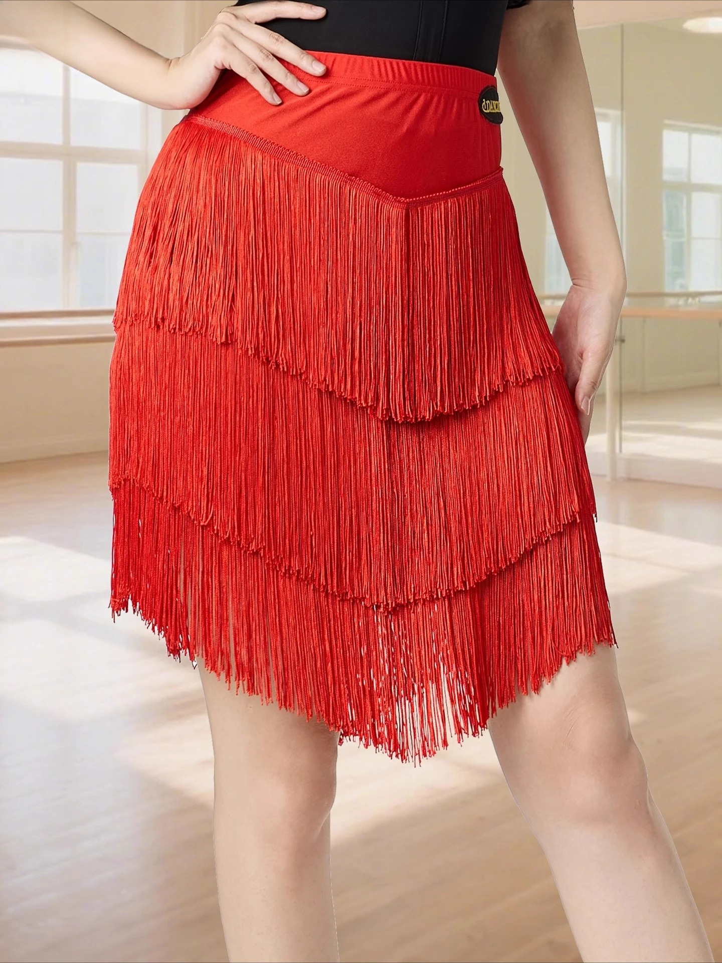 

New Latin Dance Clothes Suit Adult Women's Sexy Short Tassel Skirts Rumba Tango Chacha Dance Performamnce/Competition Costume