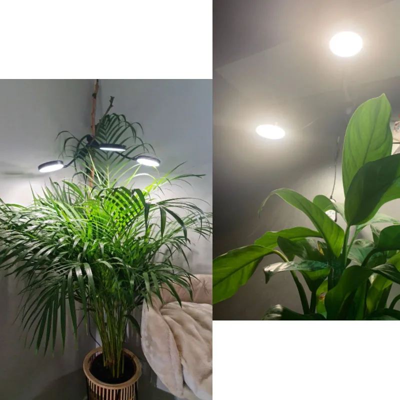 DC 5V USB Timer LED Wachsen Licht Gelb licht pflanze blume wachsen Phytolamps Desktop Clip Phyto Lampen innen gewächshaus wachsen Box