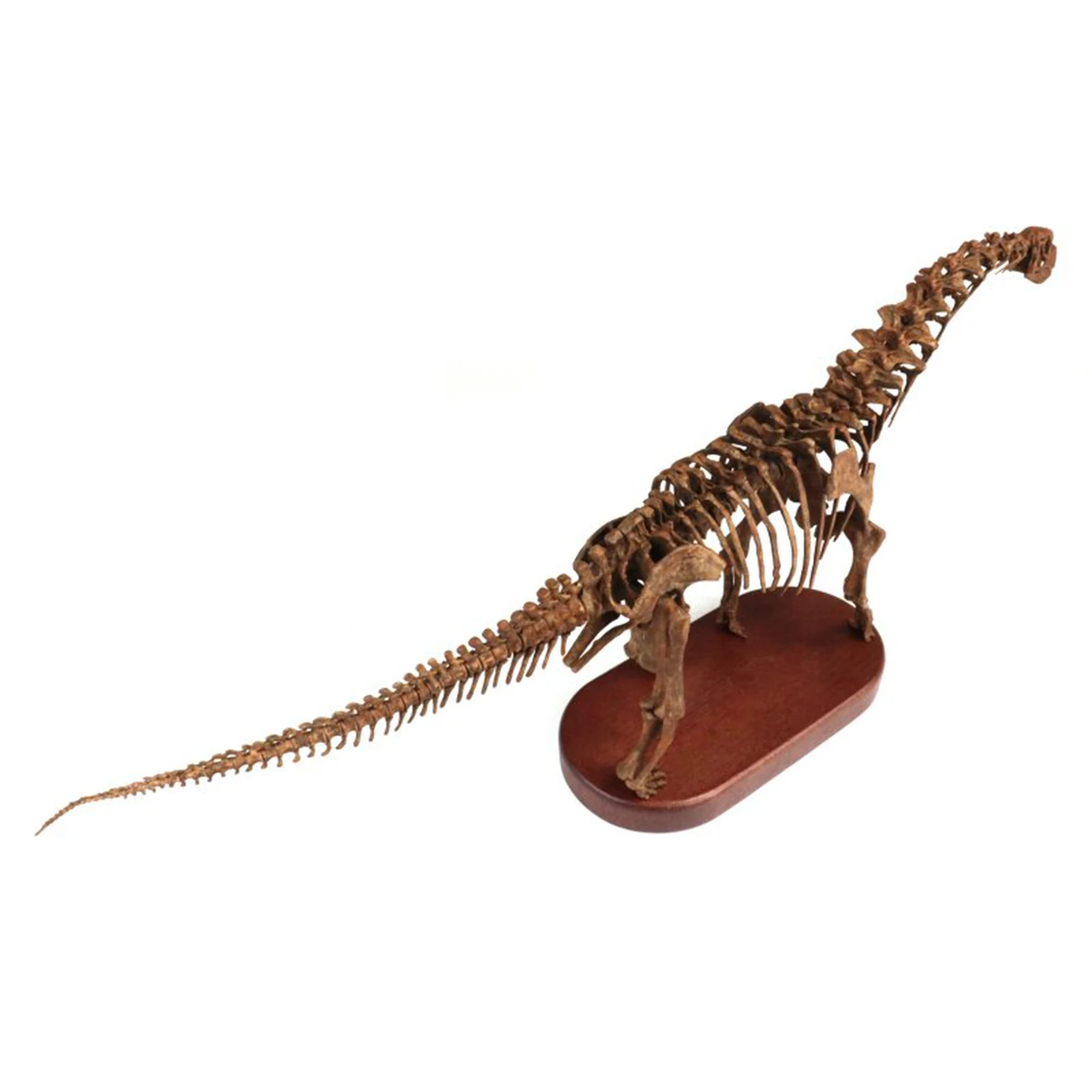 1/35 Scale Camarasaurus Skeleton Fossil Model 3D Printed Dinosaur Prehistoric Creature Resin Figurine Animal Collection Decor