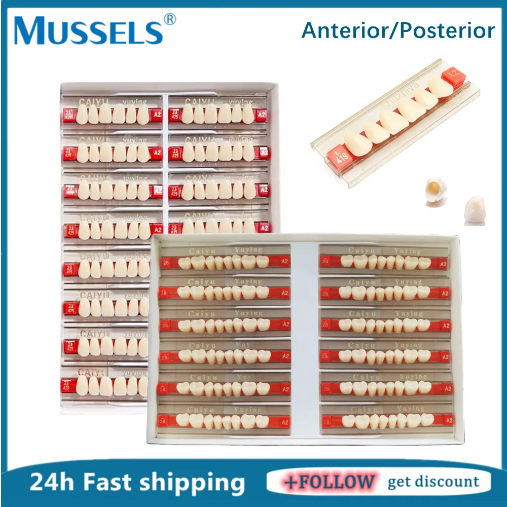 

96pcs/Box Dental Synthetic Resin Teeth Acrylic Denture False Tooth Model Upper Anterior Lower Posterior Dentistry Prosthesis Set