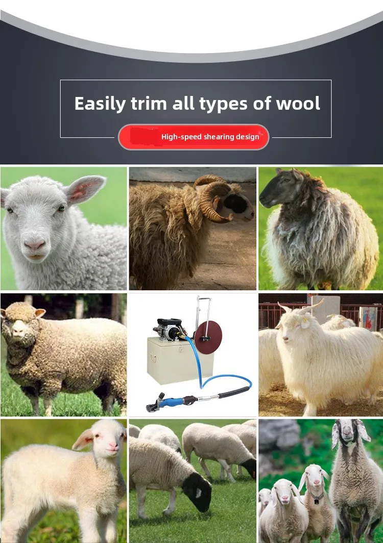 

Электрическая машинка для стрижки шерсти с вращающимся гибким валом и функцией автоматической заточки: эффективная стрижка + мгновенная заточка в одном устройстве