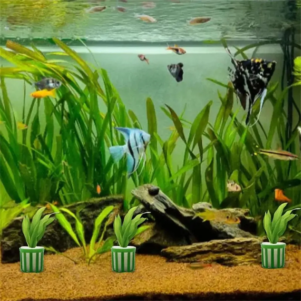 Aquatic Plant Fixed Holder 10pcs Aquarium Plant Fixing Pot Kit Aquarium Accessories Aquarium Landscape Decoration