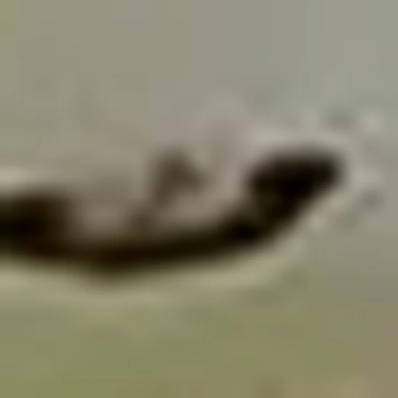 

Digital Home Finger Pulse Rate Fingertip Medical Pulsioximetro SPO2 Blood Oxygen PR Oximeter Monitor Saturation Meter D2