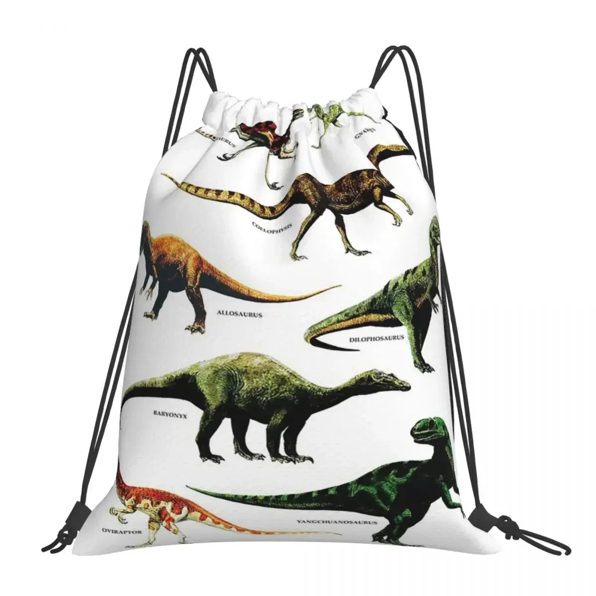 

DINOSAUR SPECIES VINTAGE RETRO 80s DINO DINOSAURS Backpacks Drawstring Bags Drawstring Bundle Pocket Sports Bag BookBag