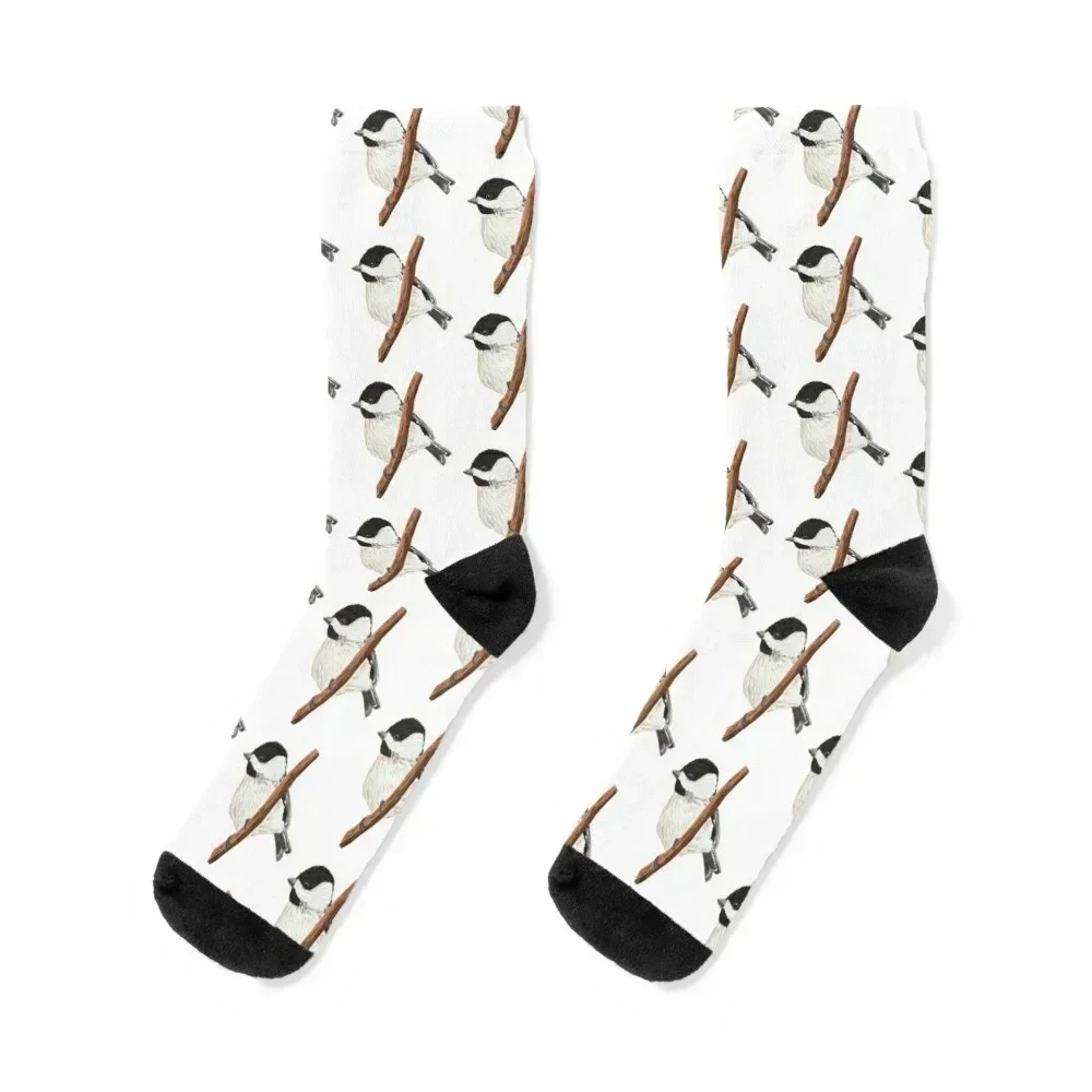 

Black-capped Chickadee Socks summer tennis gift cycling Men's Socks Women's