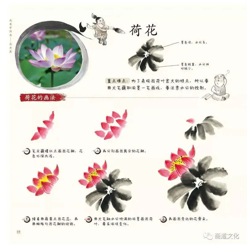 Hot Selling Gift Video Tutorial L Want To Learn Chinese Painting Introductory Flowers Birds Vegetables Fruits Fish