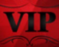 

VIP customized product 7