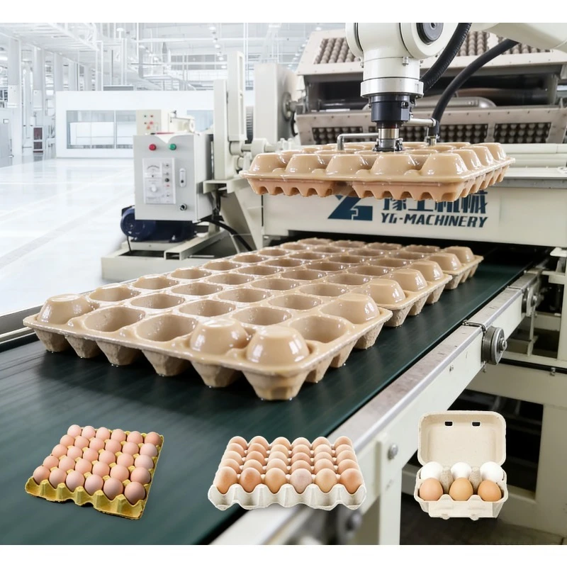 High Efficiency Automatic Egg Tray Making Machine Complete Egg Tray Production Line