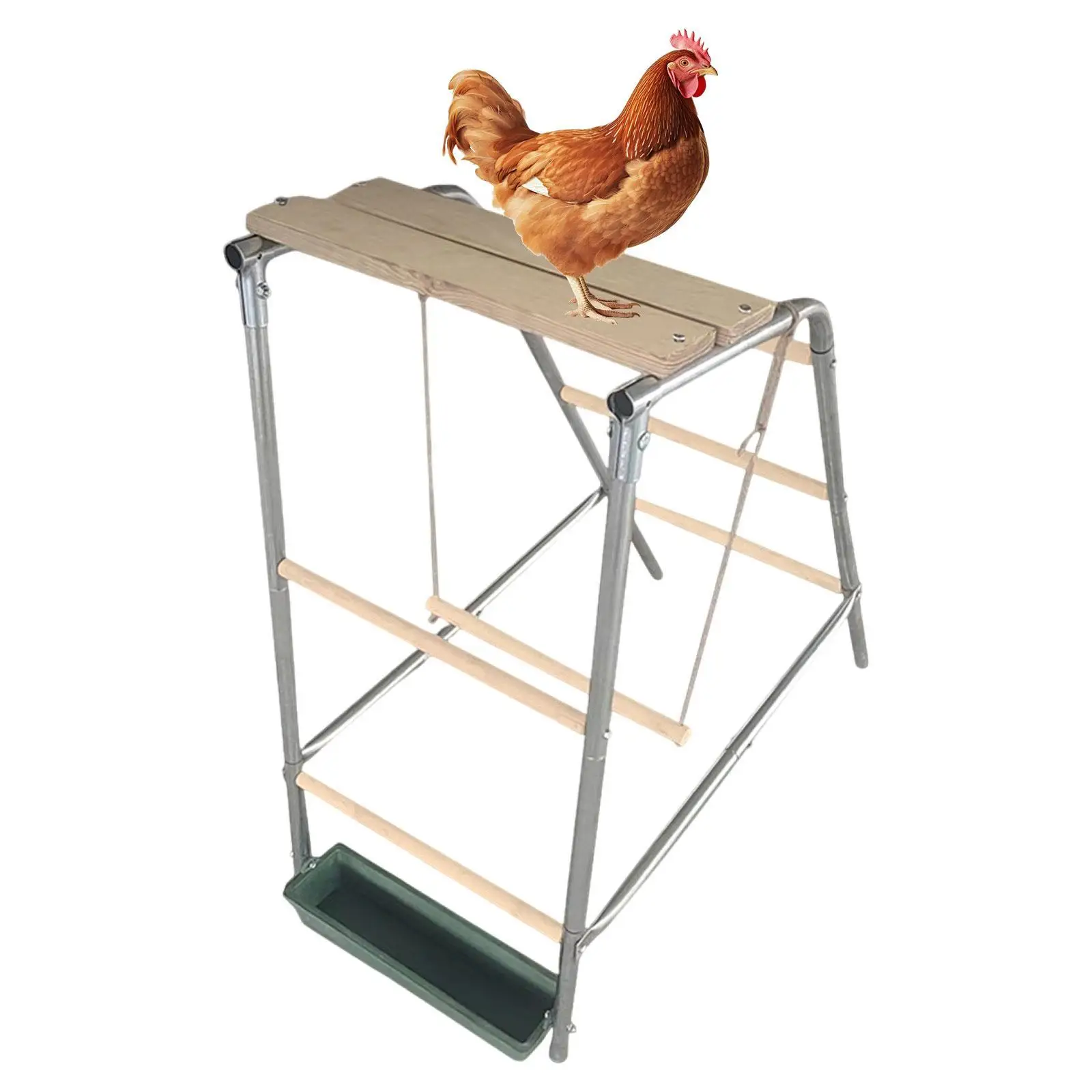 

Chicken Perch ,Standing Chicken Roost, Premium ,Sturdy Coop Accessory Roosting Bar Chicken Roosting Ladder for Grown Chickens