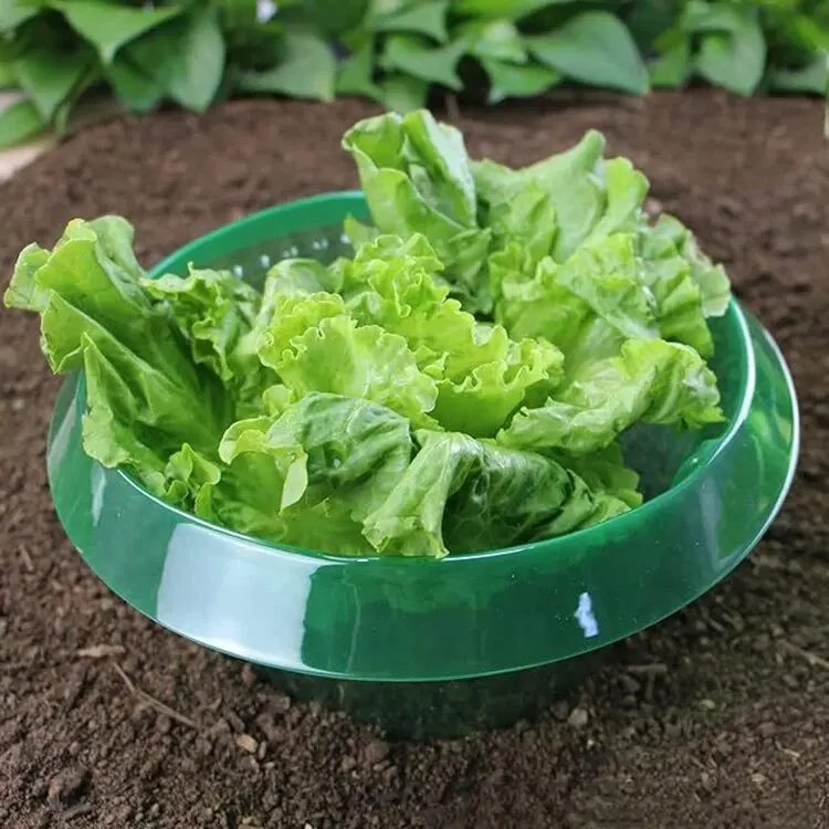 Wiederverwendbare Gemüseschutzhüllen Gartenpflanzen-Schnecken- und Nacktschneckenschutzkragen Landwirtschaftlicher Wasserschutz für Blumen – Detail 7