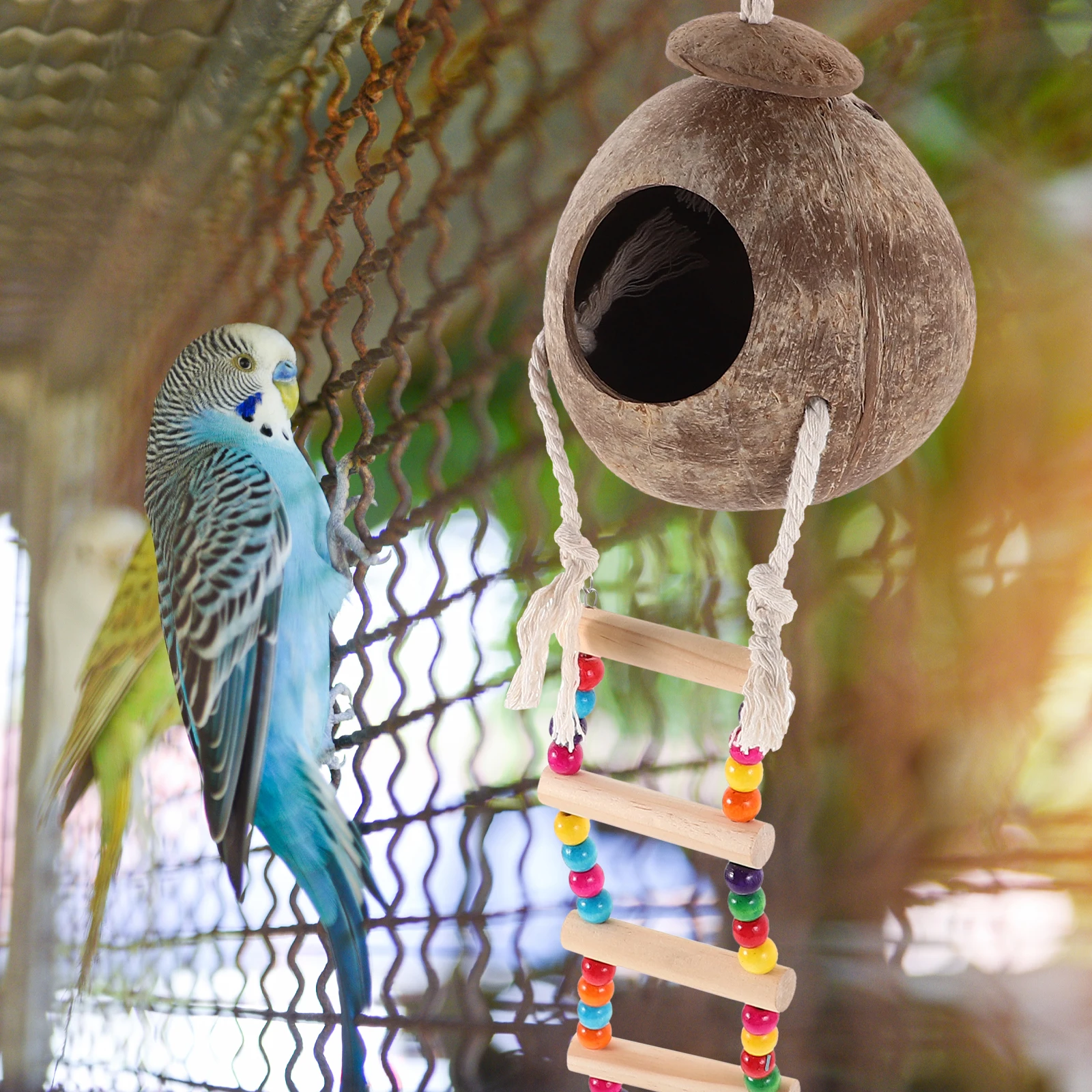 

Natural Coconut Shell Bird Nest Hanging Parrot Ladder Bird Cage Accessory Pet Habitat Supplies Breeding Nest for Budgies