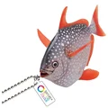 Red Sunfish