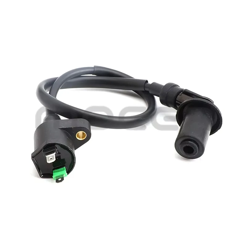

Ignition Coil Spark Plug Lead Compatible with GY6 139QMA 50cc 125cc 150cc Engines Moped Scooter Quad Dirt Bike ATV Dune Bugg