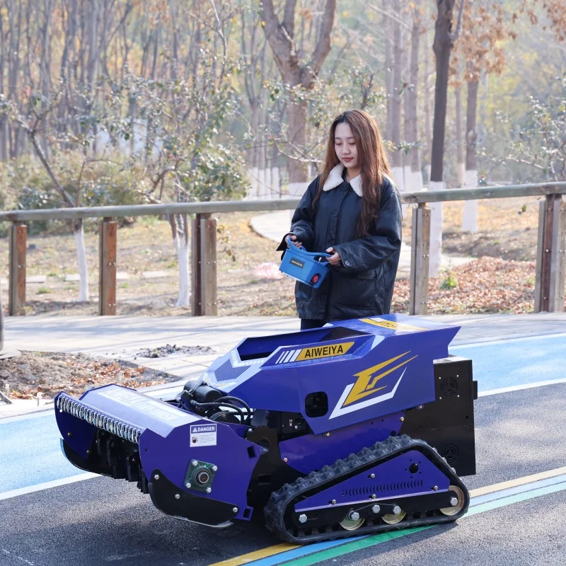 Customised 24V Grass Cutting Machine Snow Shovel Support Customization with CE Certificate