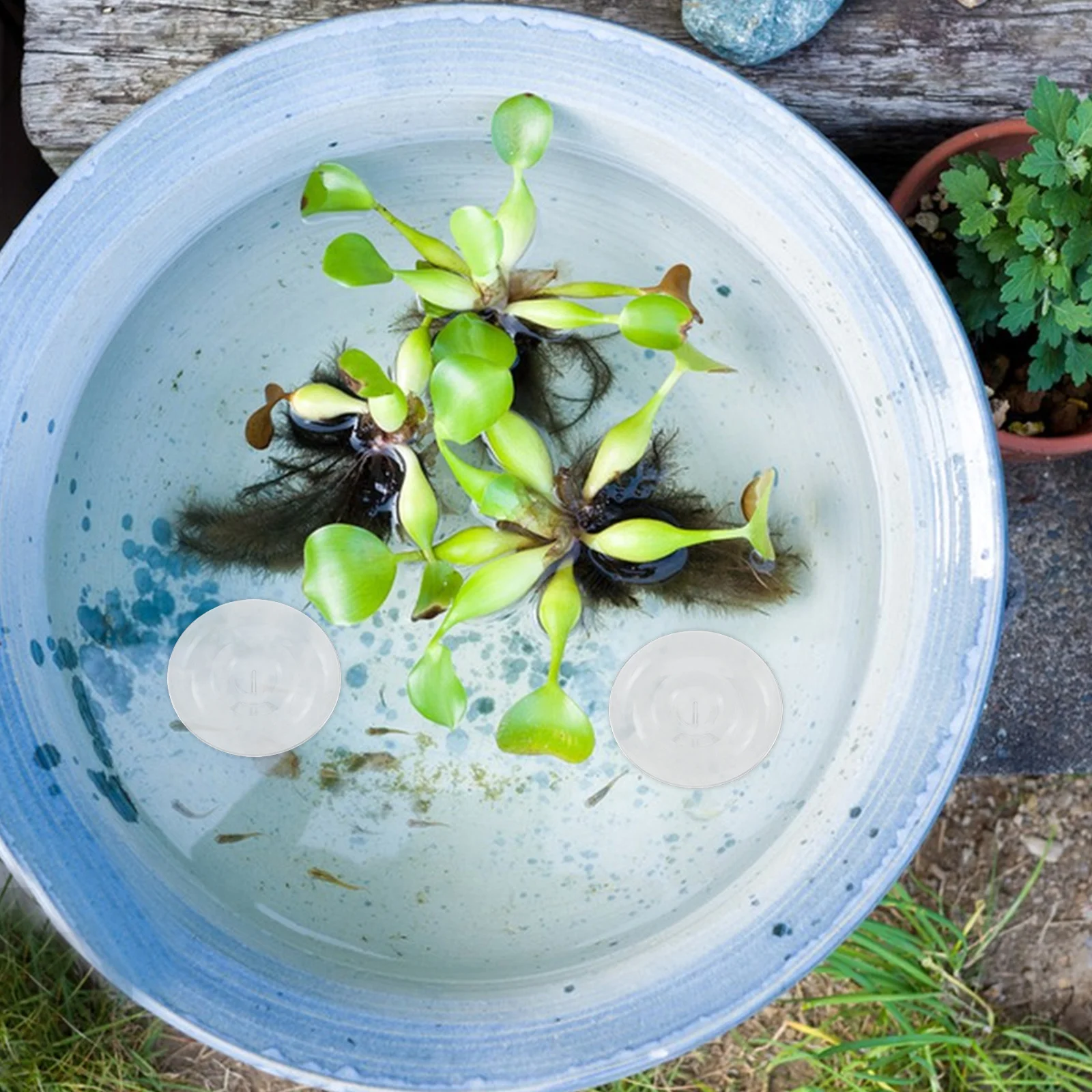 

6Pcs Transparent Vase Insert Floating Floral Display for Water Garden Decor Creative Bowl Flower Arranger Hydroponic Planting