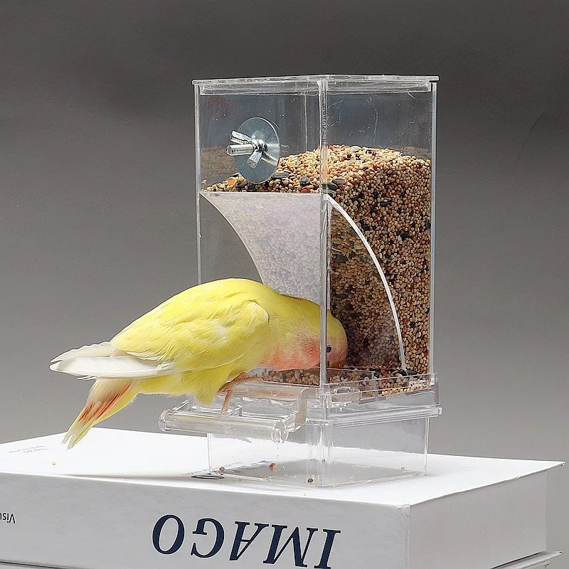 The automatic transparent parrot feeder provides food for the birds