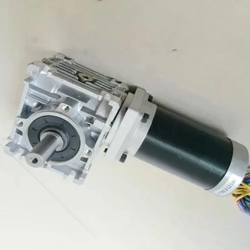 24V BLDC 57mm RV30 Worm Reducer Brushless DC Motor 69W Gear Ratio 5:1 - 80 :1 dual output shafts