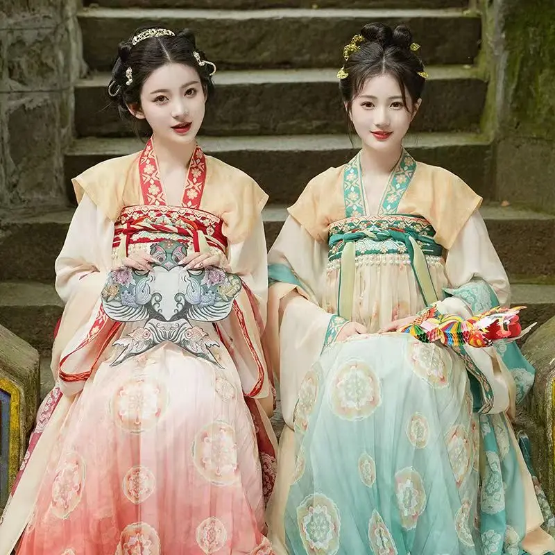 Chinese Hanfu Woman Costume Tang Dynasty Embroidery Stage Dance Performance Cosplay Ancient Cosplay Outfit Daily Clothes Summer