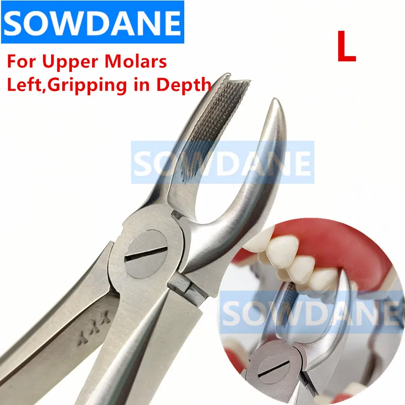 Dental Adult Tooth Extraction Plier For Upper Molars Left Gripping in Depth Dental Orthodontic Surgery Forcep Dentist T