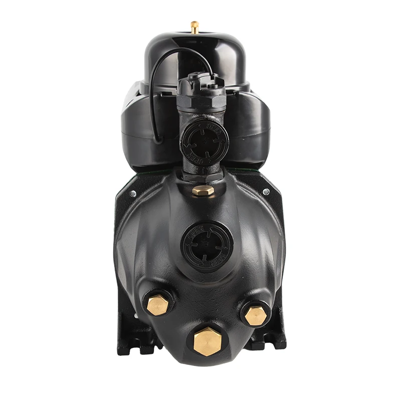 Solar AC AC Agriculture Stainless Steel Centrifugal Water Booster Pumps Surface Underground Use Jet Self-priming Pump