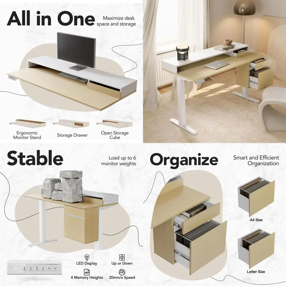 Electric Standing D…