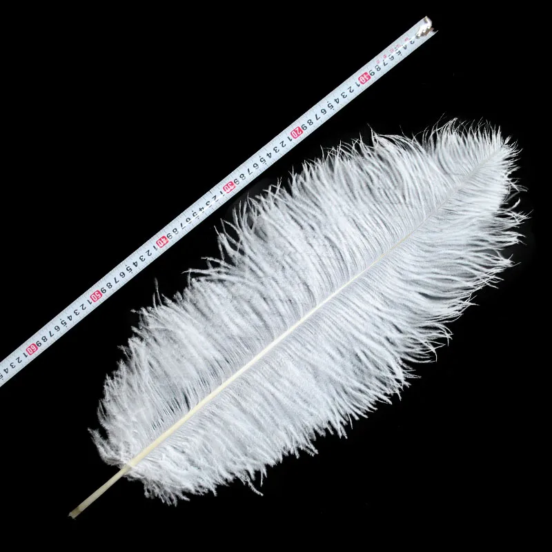 ZPDECOR Big Pole Ostrich Feathers 26-28 Inch 65-70 Cm for DIY Crafts Home Decor Feathers