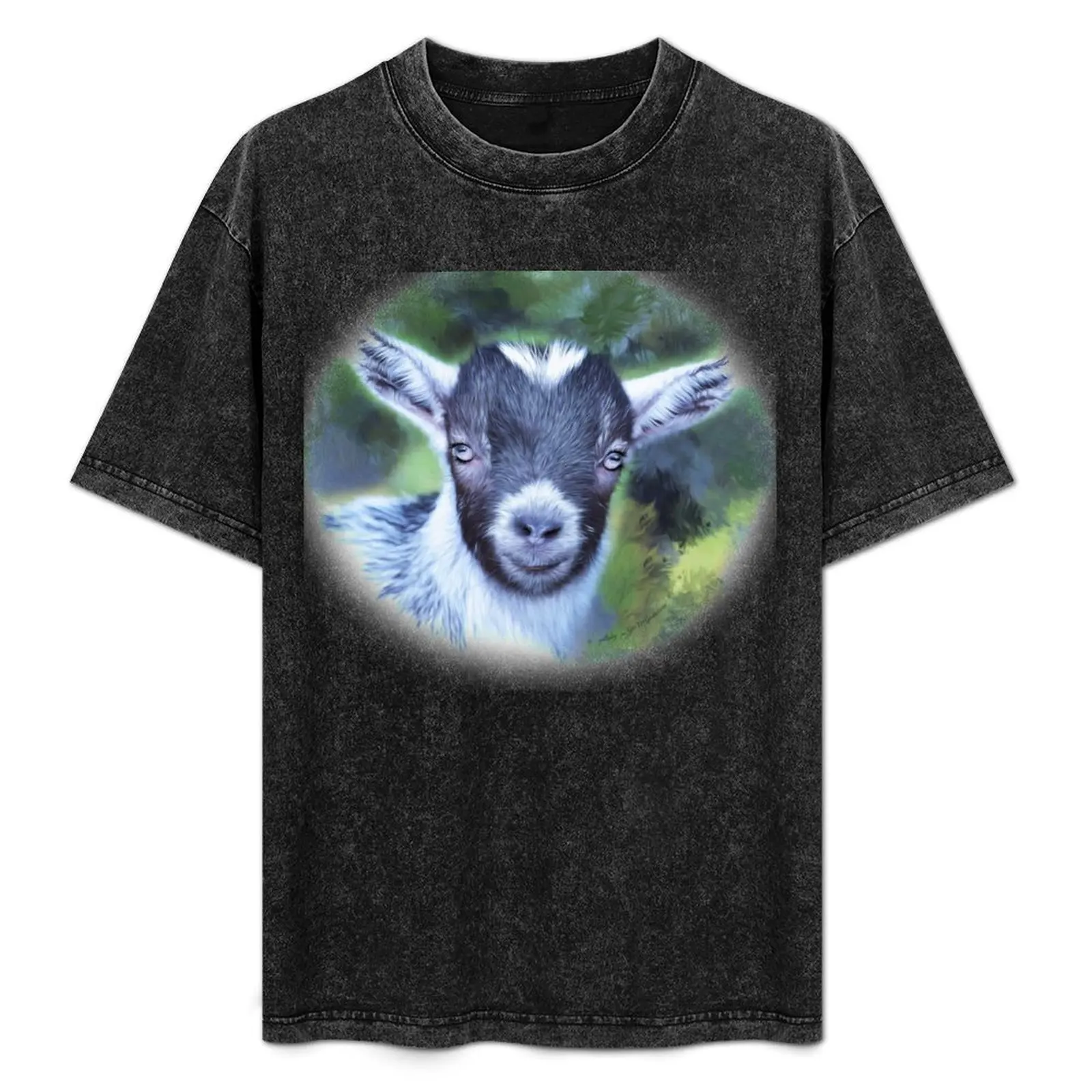Portrait of a Goat - Pygmy Kid T-Shirt Dry Fit Running Short Sleeve Top
