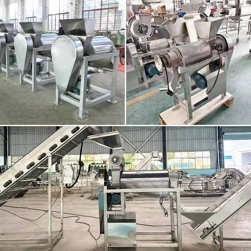Pulper Fruit Finisher Pulp Seed Separation and Destonings Pulp Extraction Machine for Sale